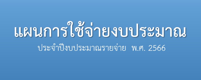 icon-แผนการใช้จ่ายงบประมาณ2566